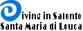 diving in salento logo