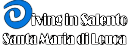 diving in salento logo inverse